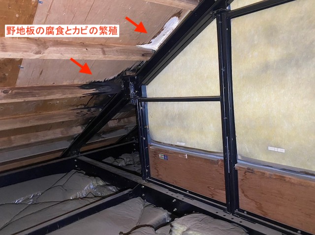 野地板の腐食とカビの繁殖を発見