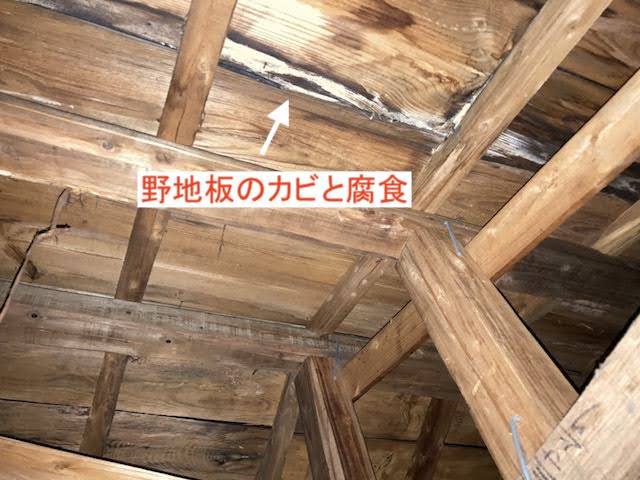 雨漏りによる野地板のカビと腐食を発見