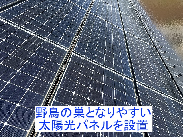 野鳥の巣となりやすい太陽光パネル