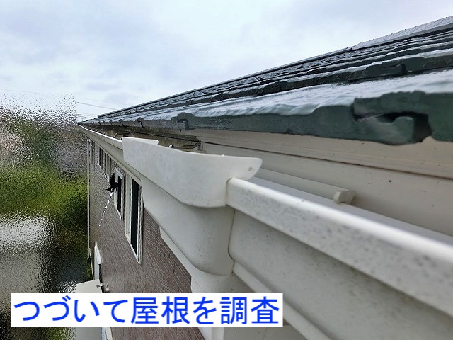 破損した軒天の屋根を調査