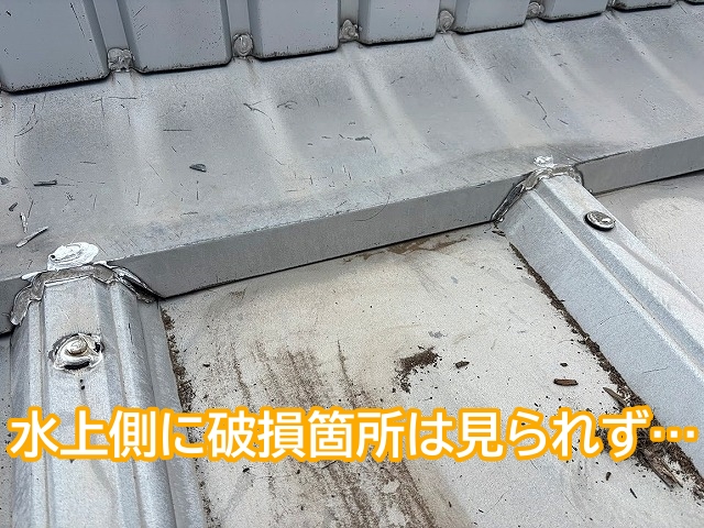 目立った破損箇所がなかった折板屋根の水上側