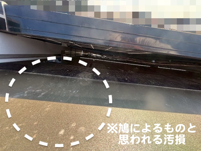 茨城町　太陽光パネルの下に鳩が侵入　鳥の糞によると思われる屋根の汚損の写真