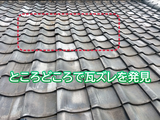 いぶし瓦を確認するとところどころで瓦ズレを確認