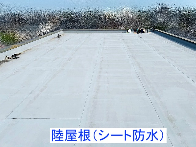 雨漏りが再発したマンションの陸屋根はシート防水