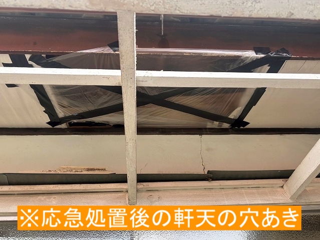 テラス波板を撤去した後に見つかった軒天の穴あき部分を応急処置