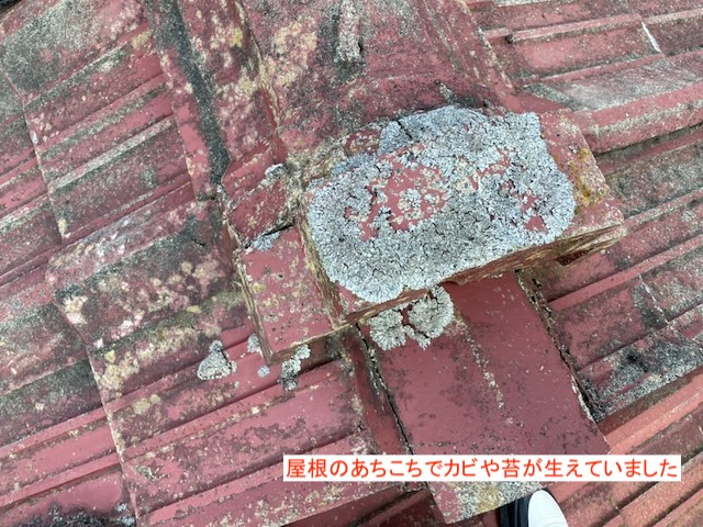カビや藻が生えているセメント瓦屋根