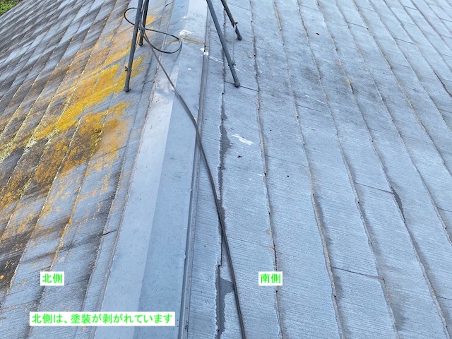 塗膜が剥がれ北面に発生したカビや藻