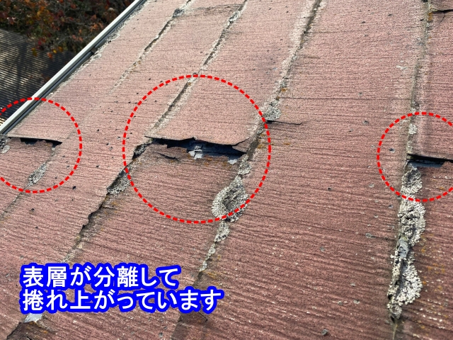 表層が分離して捲れ上がったパミール