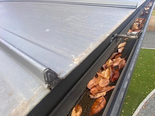 1階南側の雨樋の落ち葉