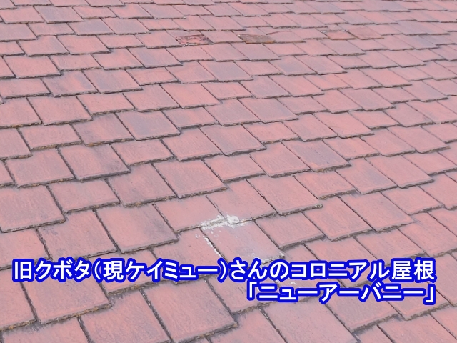 ハウス55の屋根はニューアーバニー