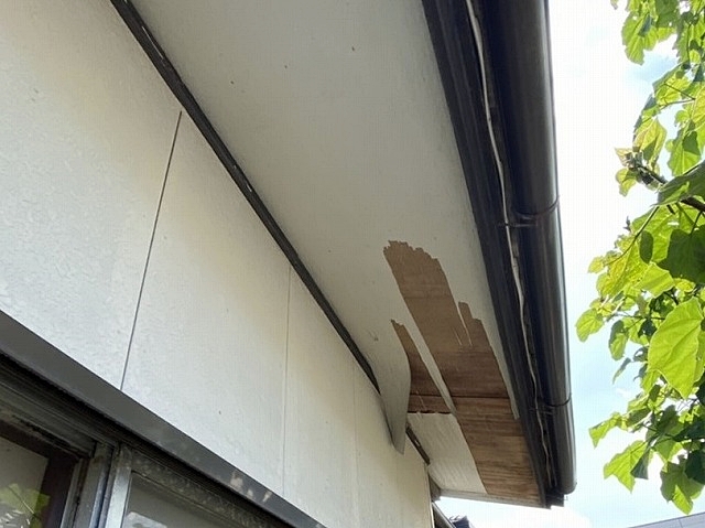 合板の一部が剥がれた軒天