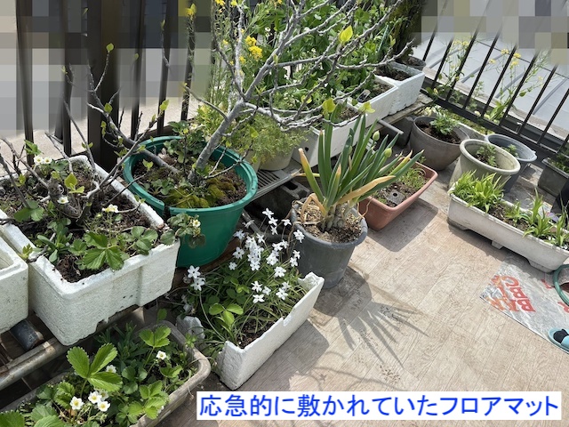 雨漏り対策として応急的に敷かれたフロアマット