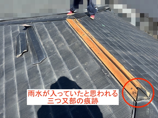 大棟部の棟板金を撤去すると三つ又板金部の貫板に漏水痕