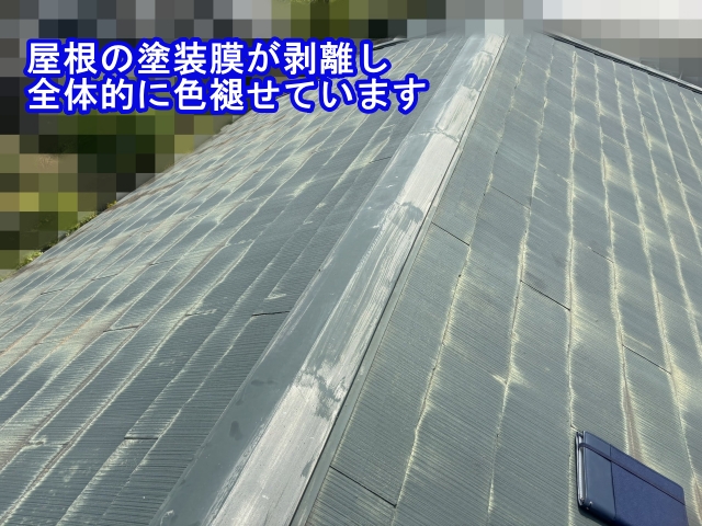 白茶けた化粧スレート屋根