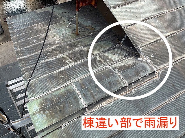 天井裏を確認して棟違い部での雨漏りが判明