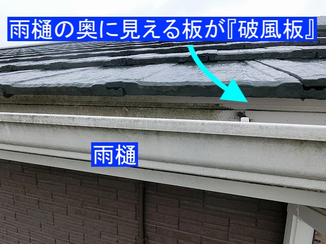 雨樋の奥に見える破風板の高さが問題