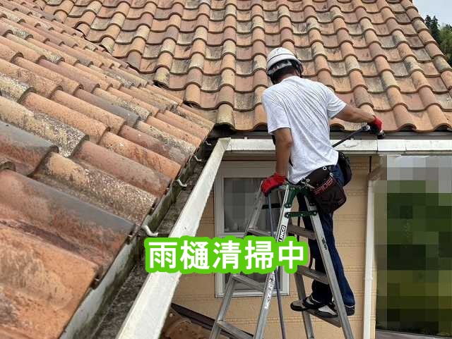 雨樋清掃中のスタッフ