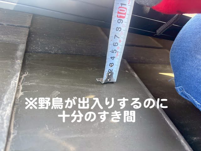 茨城町　太陽光パネルの下に鳩が侵入　太陽光パネルのすき間の写真