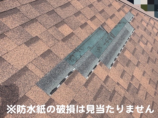 水戸市　台風でアスファルトシングルが飛散　防水紙確認の写真