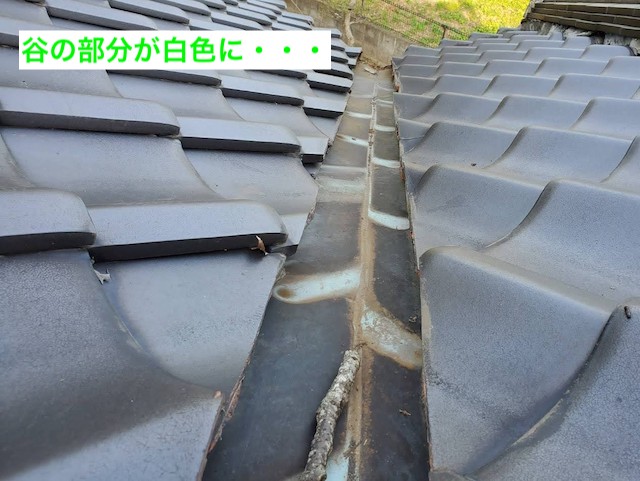 谷板金の緑青が白に変色