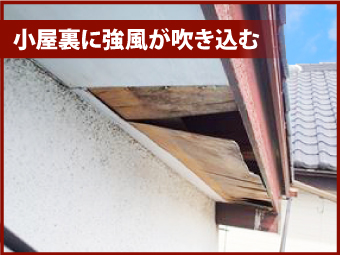 軒天井が傷んでいると小屋裏に強風が吹き込み破損につながる