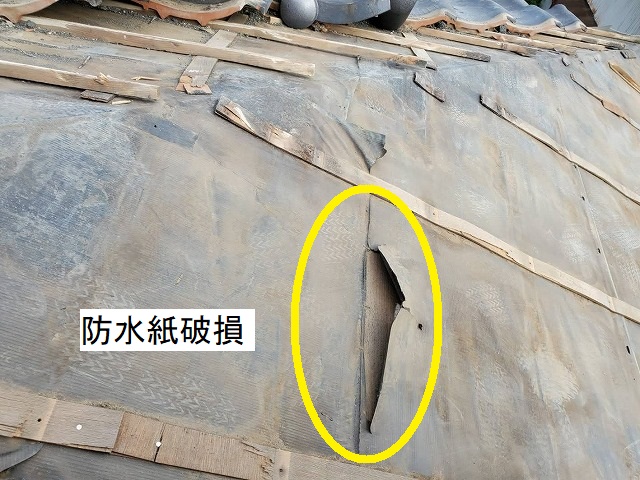 棟際の防水紙が破損していた