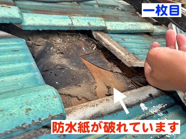 陥没箇所の瓦の一枚目をめくると防水紙が破れ木下地がむき出し
