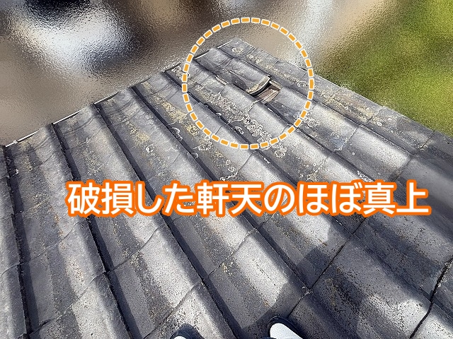 瓦がズレた箇所は破損した軒天のほぼ真上