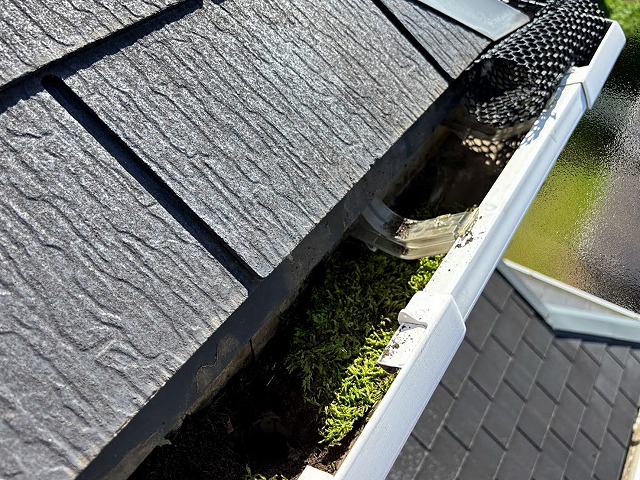 落ち葉除けネットが設置された雨樋は泥や草が詰まった状態