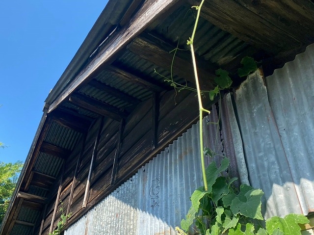 物置の老朽化したトタン屋根は葺き替えが必要