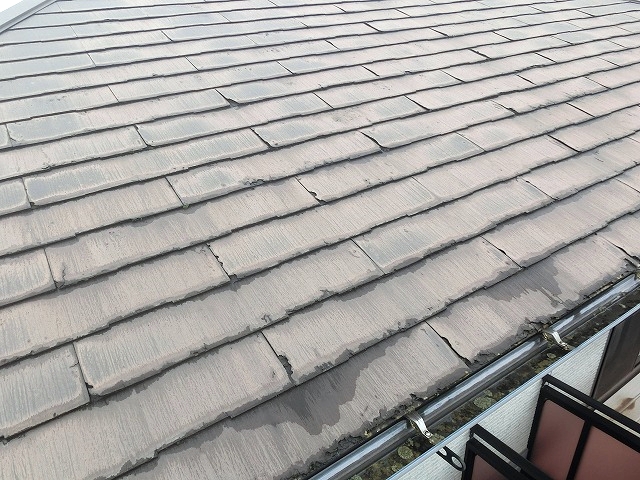 パミールA南面屋根