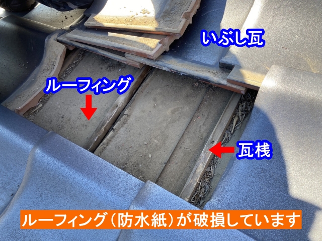 破損したルーフィング