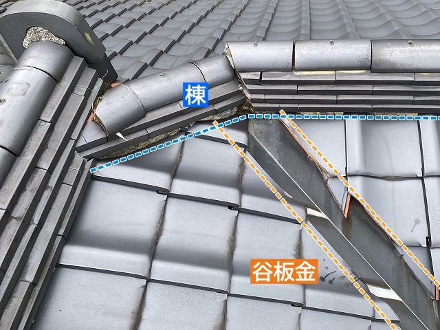 棟に緩衝している谷板金