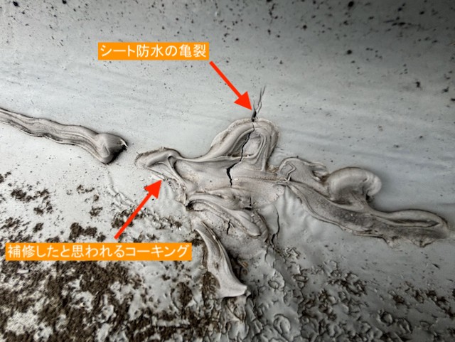 補修したコーキングの上まで亀裂があるシート防水