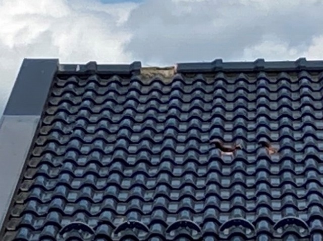 棟瓦が脱落し、洋瓦も所々外れている
