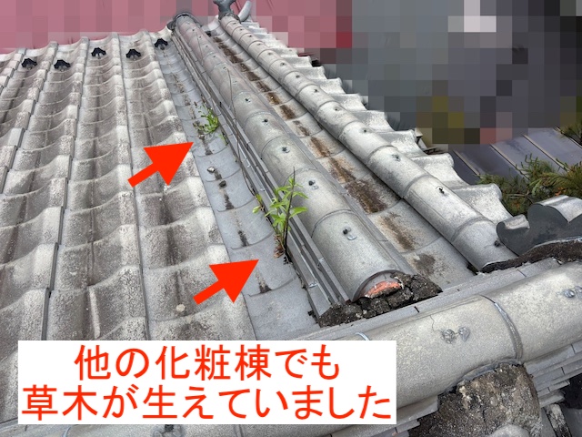 数箇所で草木が生えた化粧棟