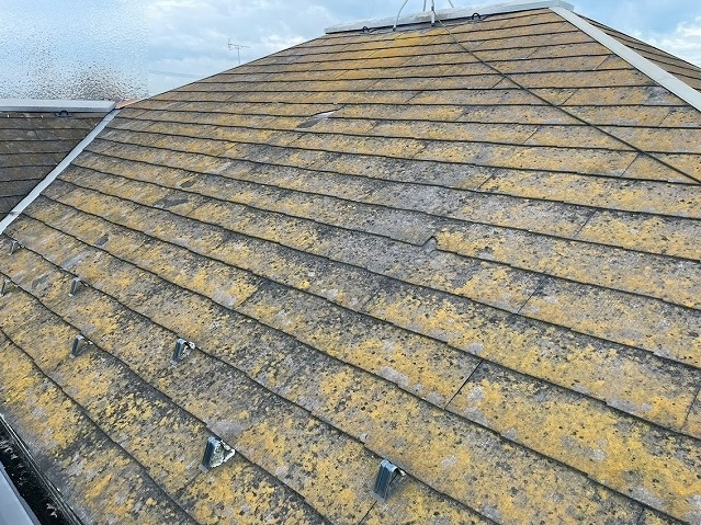高圧洗浄前のカビやコケが繁殖した築30年のスレート屋根