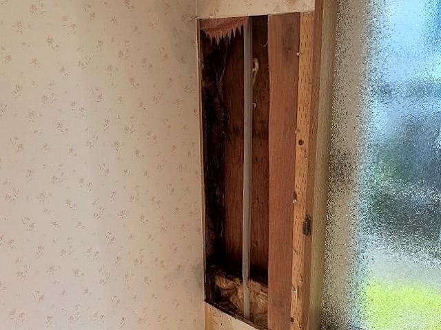 雨染みが広がる室内の壁を部分的に撤去