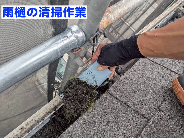ひたちなか市　雨樋の石粒をサービス清掃　作業中の写真