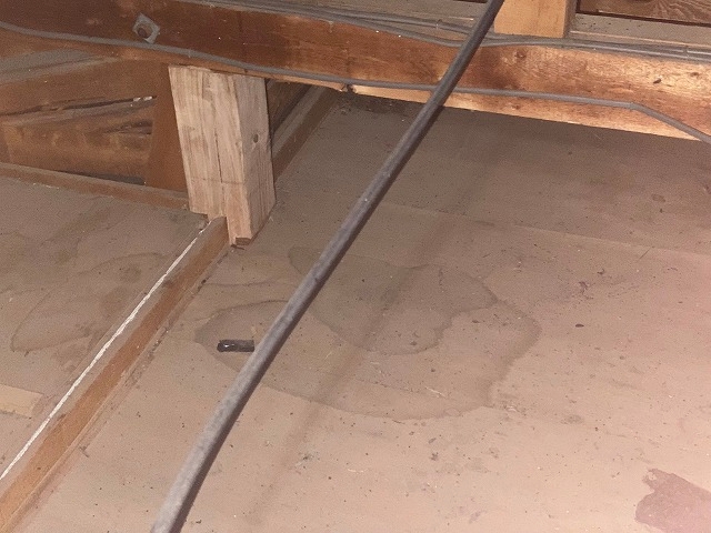 屋根裏には大きな雨染みも点在