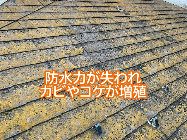 防水力が失われカビやコケが増殖したスレート屋根