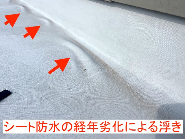 雨漏りが再発した陸屋根のシート防水に劣化による浮きを発見