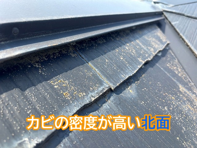 カビの密度が高い棟板金付近の北面屋根