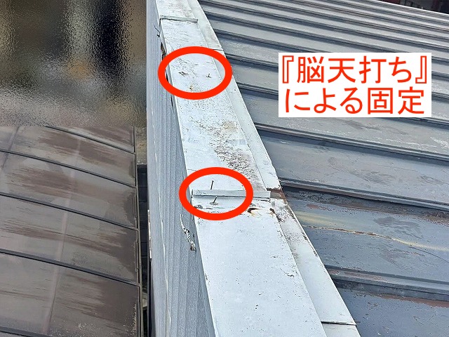 笠木の金属板金が脳天打ちされたパラペット