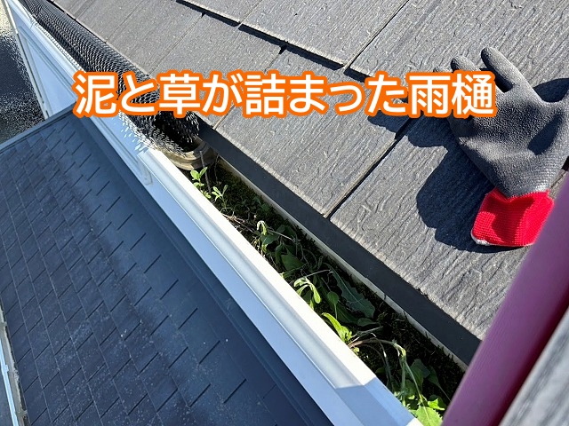 泥と草が詰まりオーバーフローを起こした雨樋