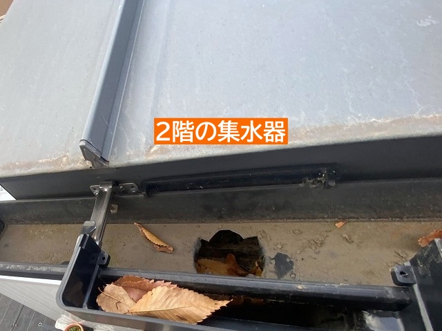2階の集水器の枯れ葉は引っ掛かった程度