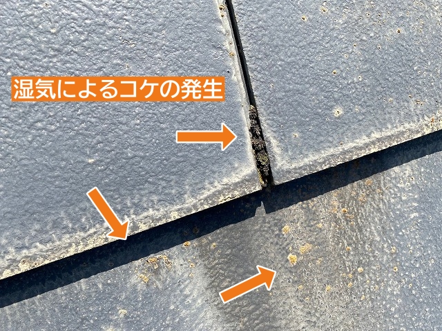 湿気によりコケが発生したセキスイかわらブルックⅡ