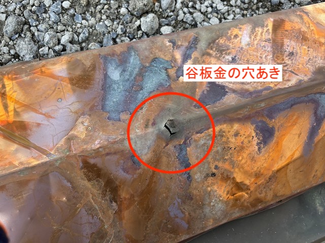 銅板製の外した谷板金を確認すると穴があいている