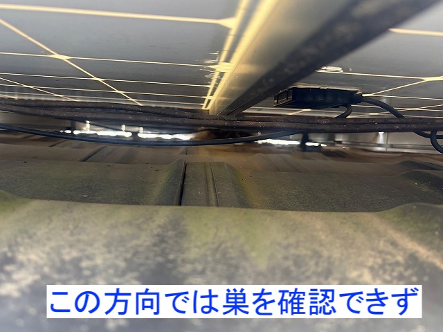 比較的明るい太陽光パネルの下には営巣箇所はなし