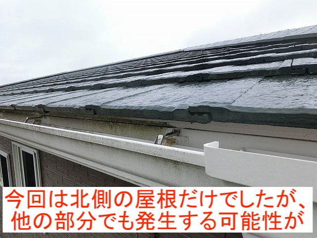 寄棟屋根の北側のみ修理予定だが他の部分でも破損する可能性あり